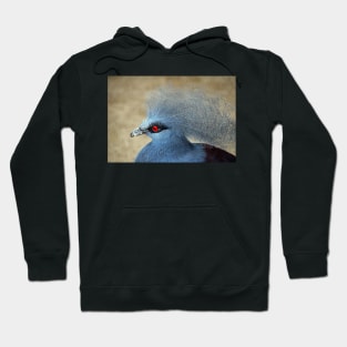 Common Crowned Pigeon Hoodie